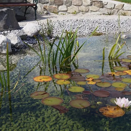 Alojamento de Turismo Rural Thomanhof Chalet-appartement