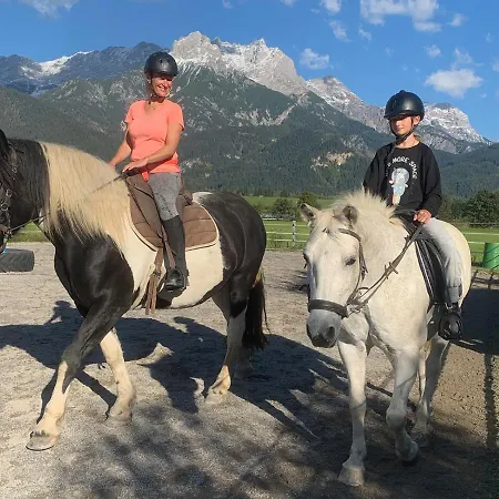 Thomanhof Chalet-appartement Alojamento de Turismo Rural *