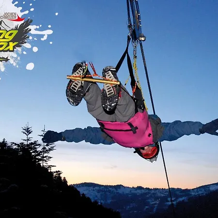 Thomanhof Фермерский дом Зальфельден