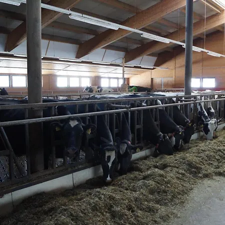 Thomanhof Chalet-appartement Alojamento de Turismo Rural *