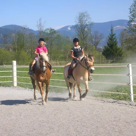 Thomanhof * Зальфельден