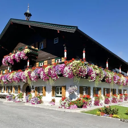 Thomanhof Chalet-appartement * Saalfelden