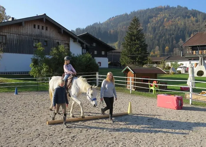 Thomanhof Chalet-appartement Saalfelden