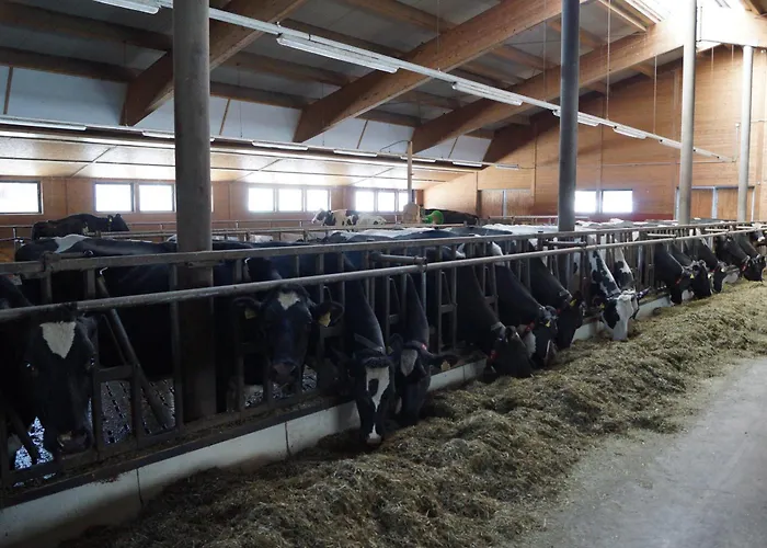 Thomanhof Chalet-appartement Vakantieboerderij *